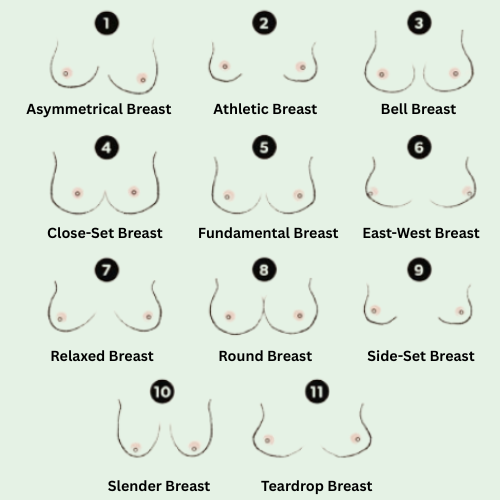 The LADYLUSTRA Guide to Beautiful Breast Types