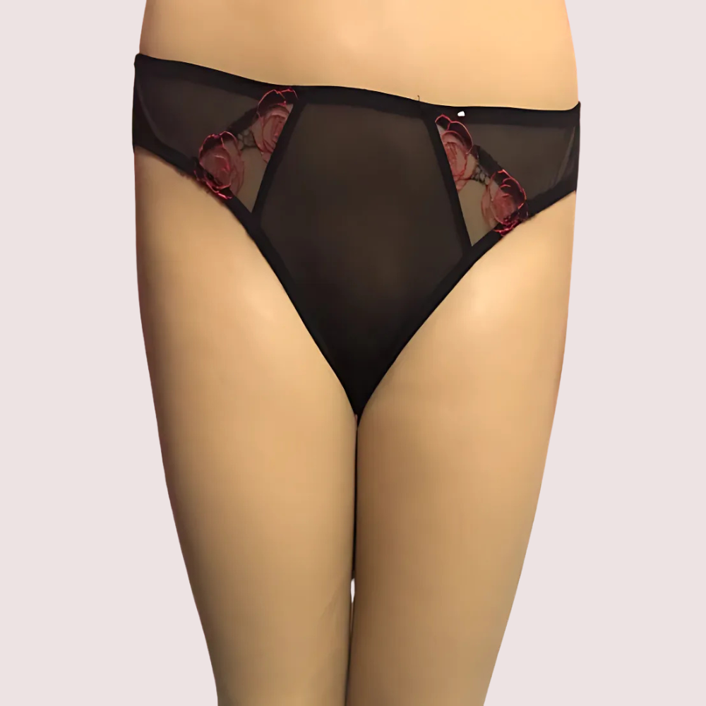 Netted Sexy Keyhole Back Hipster Panty by LADYLUSTRA